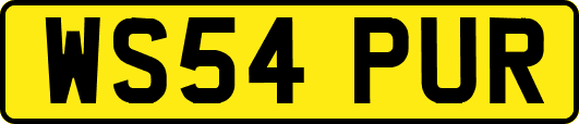 WS54PUR