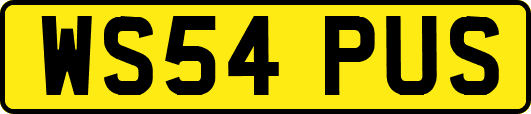 WS54PUS