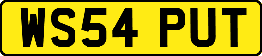 WS54PUT