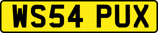 WS54PUX