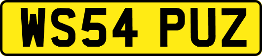 WS54PUZ
