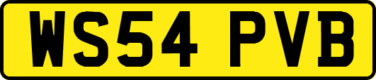 WS54PVB
