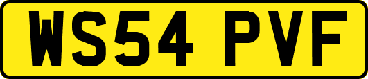 WS54PVF