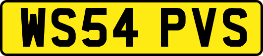 WS54PVS