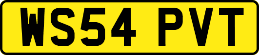 WS54PVT