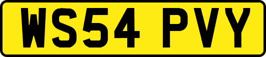 WS54PVY