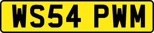 WS54PWM
