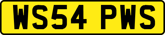 WS54PWS