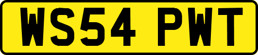 WS54PWT