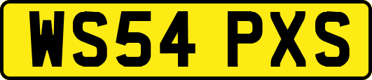 WS54PXS