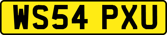 WS54PXU