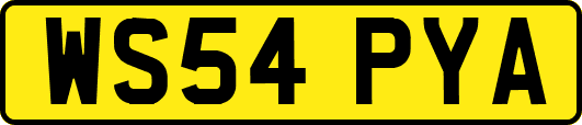 WS54PYA