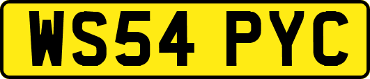 WS54PYC