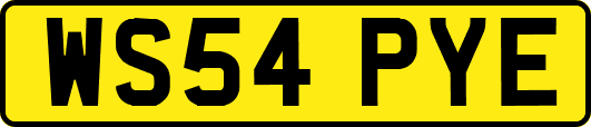 WS54PYE