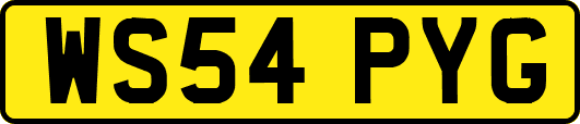 WS54PYG