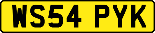 WS54PYK