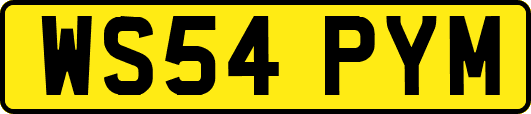 WS54PYM