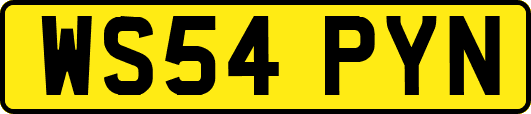 WS54PYN