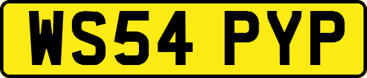 WS54PYP