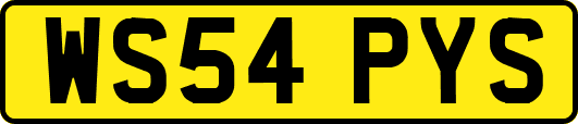WS54PYS