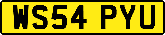 WS54PYU