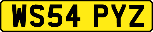WS54PYZ