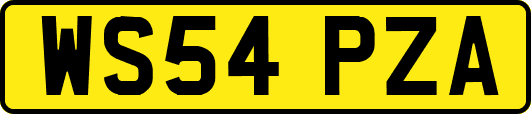 WS54PZA