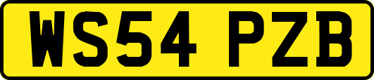 WS54PZB