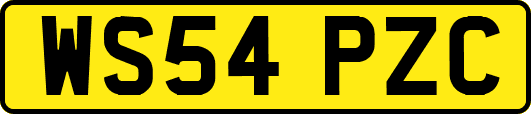 WS54PZC