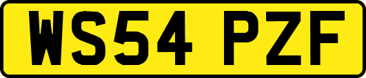 WS54PZF
