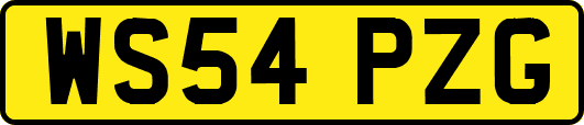 WS54PZG
