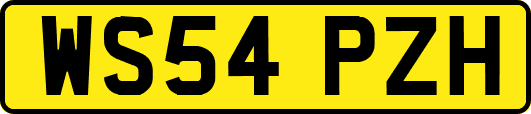 WS54PZH