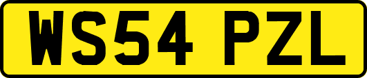 WS54PZL