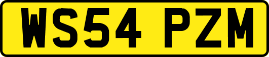 WS54PZM