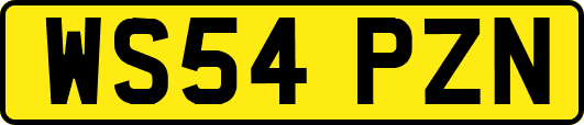WS54PZN