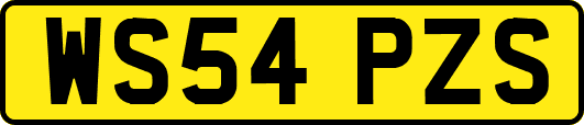 WS54PZS