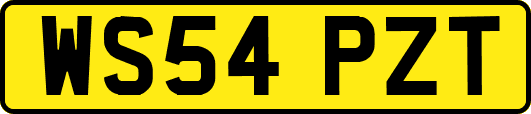 WS54PZT