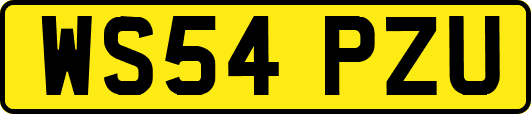 WS54PZU