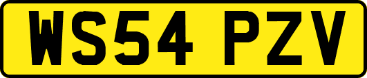 WS54PZV