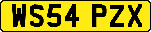 WS54PZX