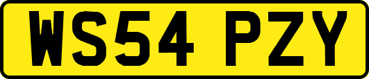 WS54PZY