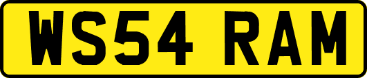 WS54RAM