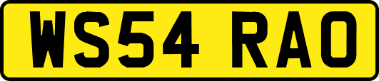 WS54RAO