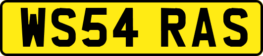 WS54RAS