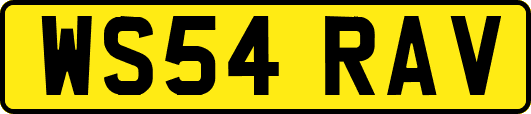 WS54RAV