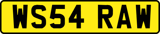 WS54RAW