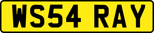 WS54RAY