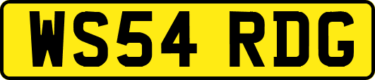WS54RDG