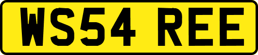 WS54REE