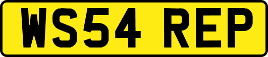 WS54REP